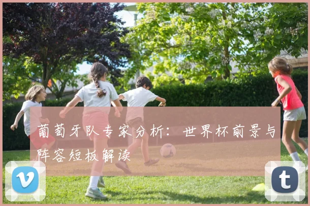 葡萄牙队专家分析：世界杯前景与阵容短板解读