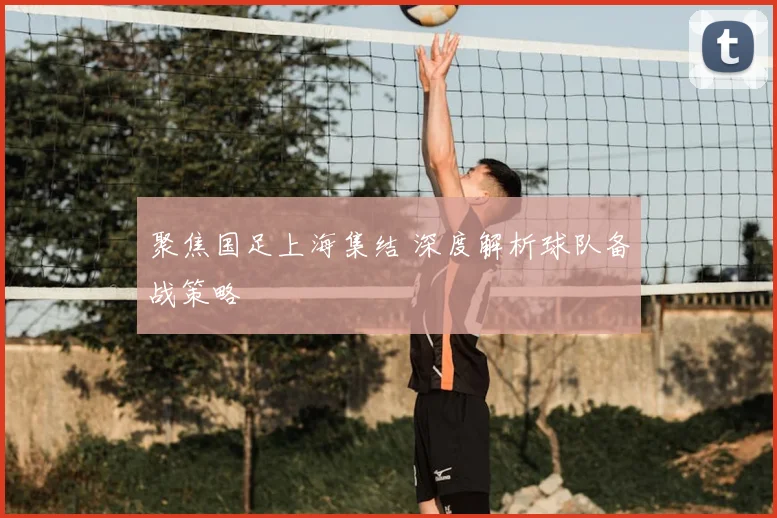 聚焦国足上海集结 深度解析球队备战策略
