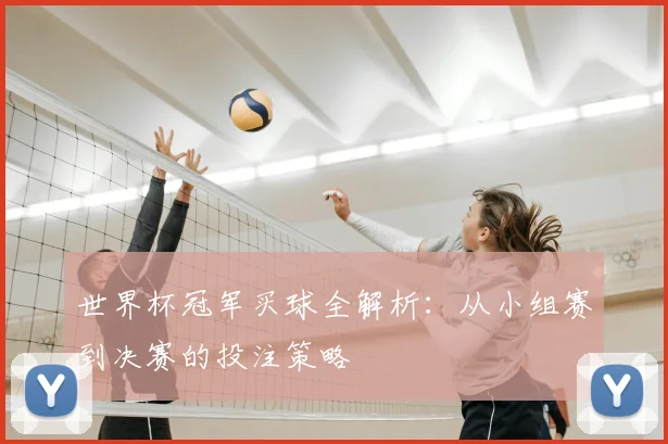 世界杯冠军买球全解析：从小组赛到决赛的投注策略