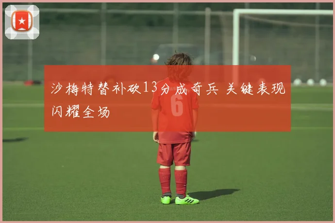 沙梅特替补砍13分成奇兵 关键表现闪耀全场
